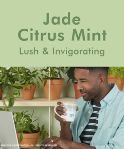 Teavana Jade Citrus Mint Flavored Green Tea Blend Tea Bags 15 Ct