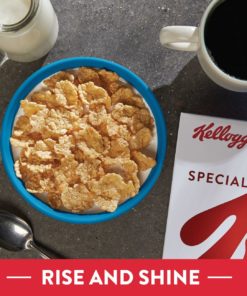 Kellogg’s Special K Breakfast Cereal Original Value Size 18 Oz
