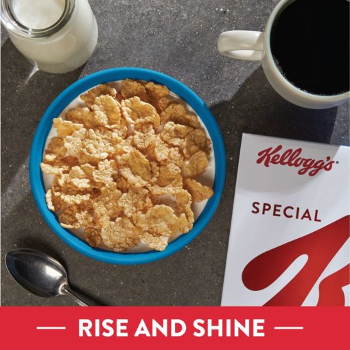 Kellogg’s Special K Breakfast Cereal Original Value Size 18 Oz