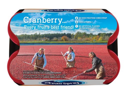 (2 pack) Ocean Spray Juice, Cran-Mango, 10 Fl Oz, 6 Count