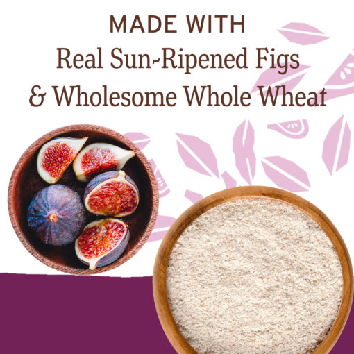 Nature’s Bakery Whole Wheat Original Fig Bar, 10 Twin Packs, 2 Oz each