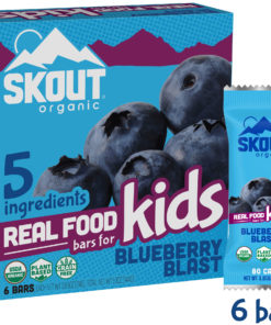 Skout Organic Kids Bars, Blueberry Blast, 6 bars, 0.85oz each
