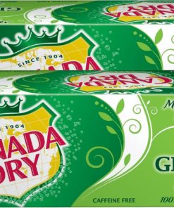 Canada Dry Ginger Ale Soda 12 oz. 24/Carton (00078000152166) 349378